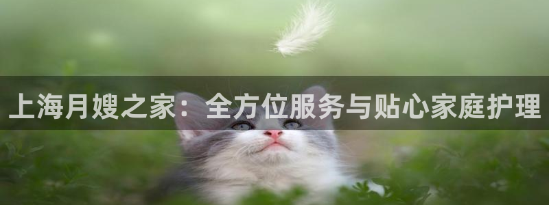 杏悦官网注册信息在哪里找