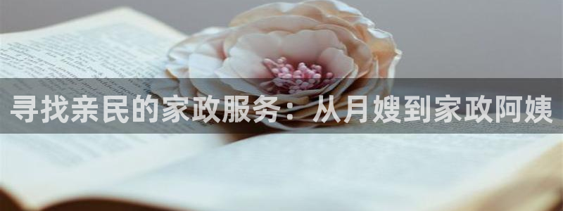 杏悦平台官网注册