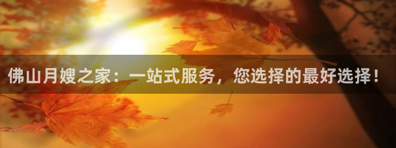 杏悦平台注册流程