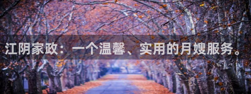 杏悦平台代理注册流程