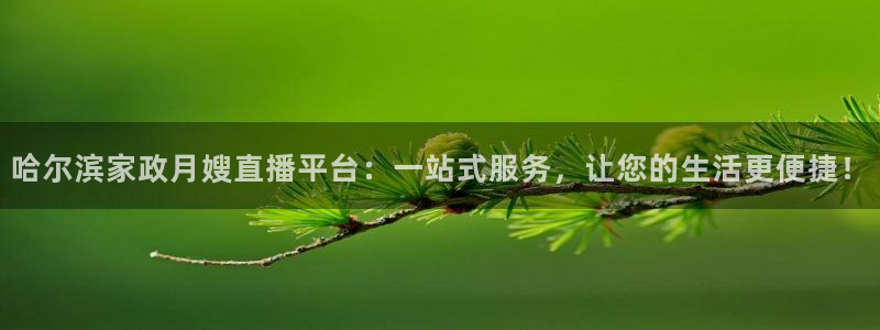 杏悦平台代理多少钱