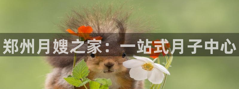 杏悦平台代理怎么样