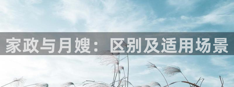 杏悦平台官网注册