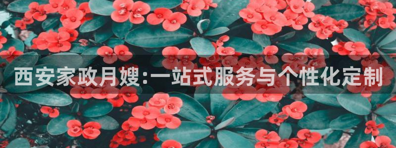 杏悦平台线路测速