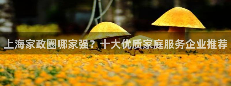 杏悦平台代理怎么赚钱的