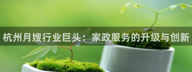 杏悦平台注册网址