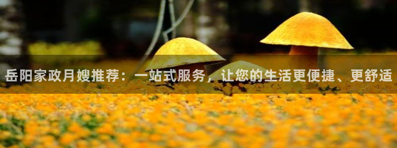 杏悦平台开户地址在哪里