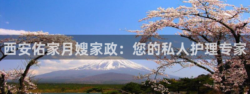 杏悦平台登录入口官网