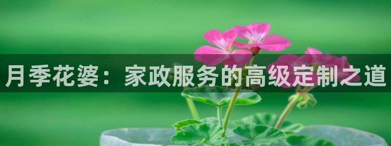 杏悦平台注册要钱吗