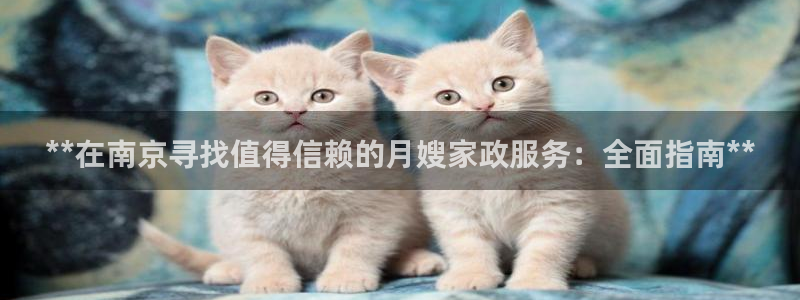 杏悦娱乐注册平台