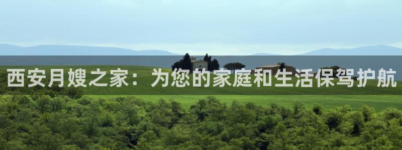 杏悦是什么平台