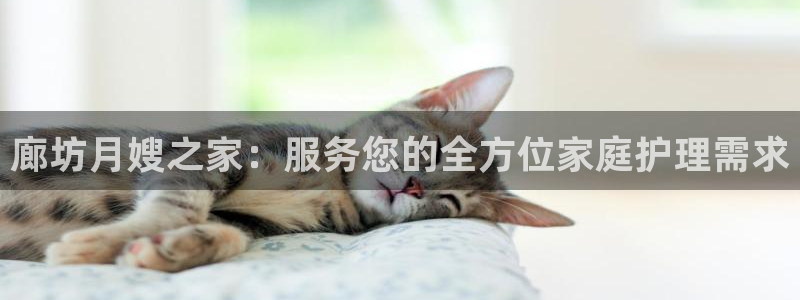 杏悦官网注册信息查询