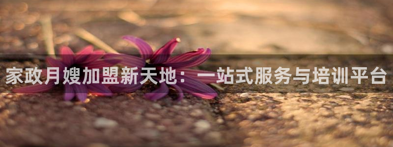 杏悦平台官网注册账号