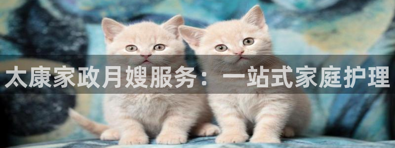 杏悦娱乐注册平台官网