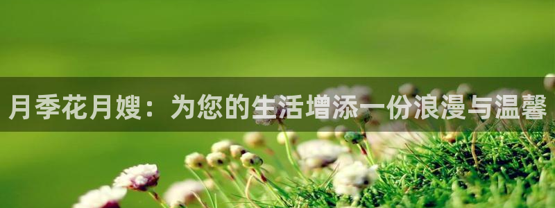 杏悦平台代理怎么做赚钱