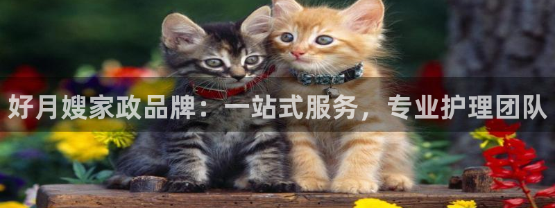 杏悦官网登录入口网址是什么