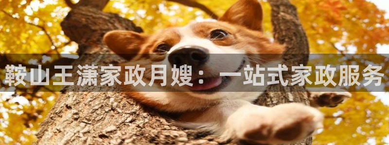 杏悦平台注册网址