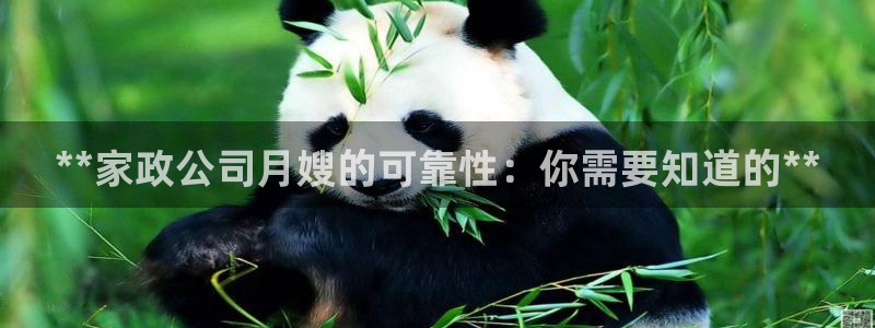 杏悦娱乐注册平台